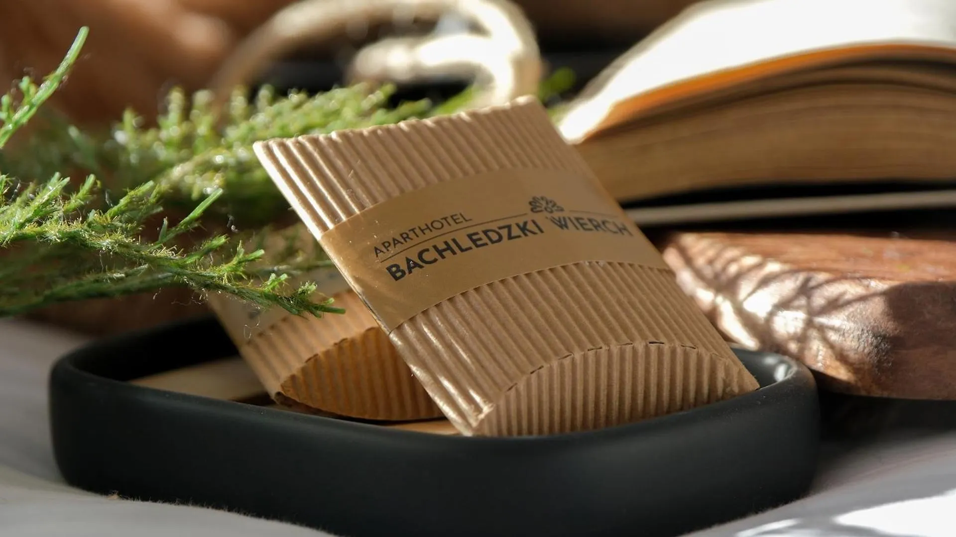 Aparthotel Bachledzki Wierch & Spa Odkryj Zakopane Apartmán